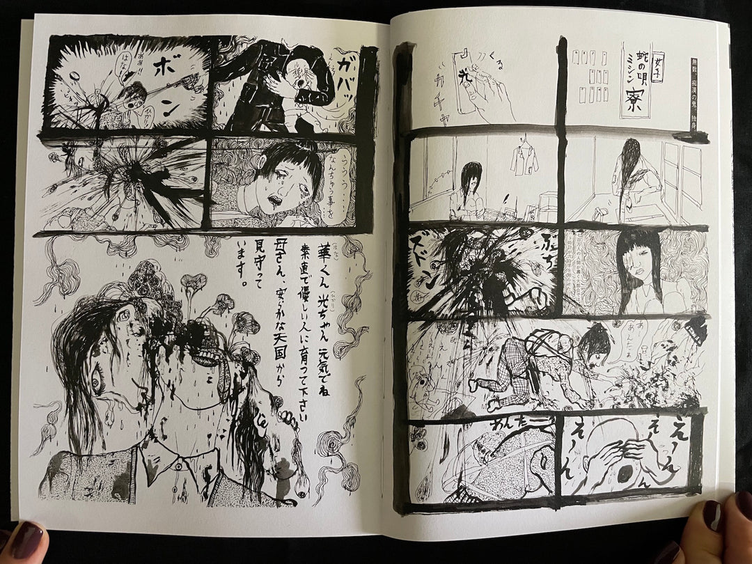 KSKHH – www.hollow-press.net